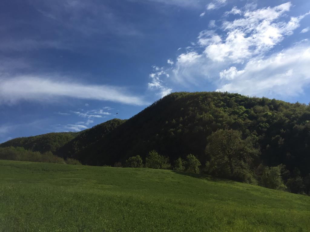 Agriturismo La Ferraia Pianello  Luaran gambar