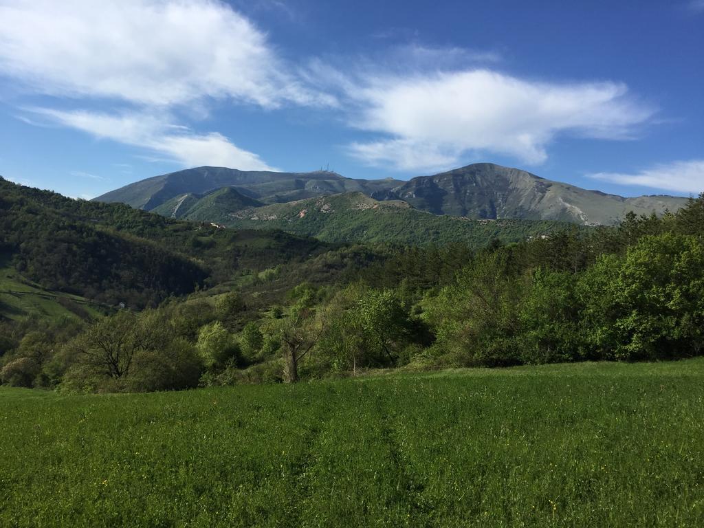 Agriturismo La Ferraia Pianello  Luaran gambar