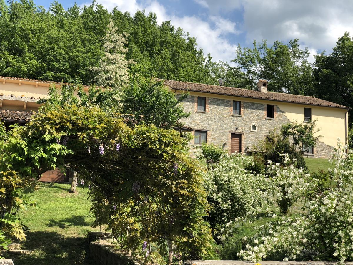 Agriturismo La Ferraia Pianello  Luaran gambar