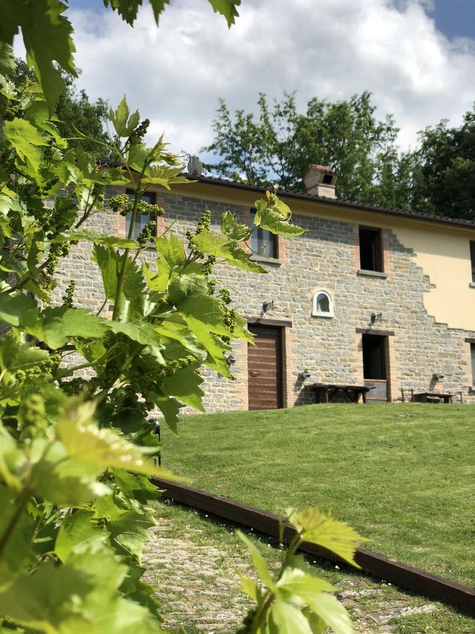 Agriturismo La Ferraia Pianello  Luaran gambar