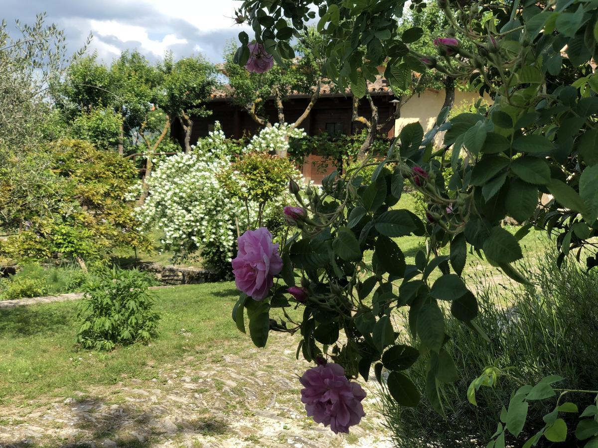 Agriturismo La Ferraia Pianello  Luaran gambar